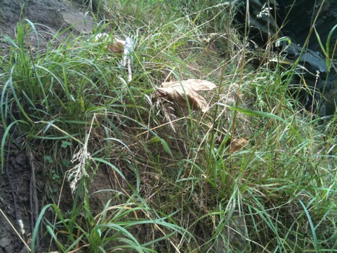 somewhere there is an entrance